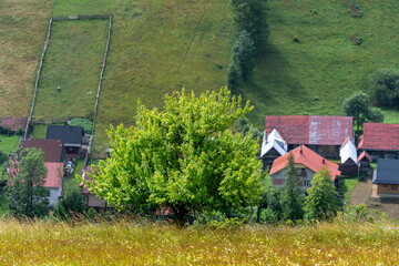 tatry, karpaty, polska, słowacja, góry , wschód słońca, zachód słońca, sunset, sunrise, pieniny © Daniel Folek
