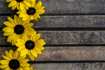 Small sunflower background. Several sunflower heads are placed at the left of the image allowing for text on the right. Wood, crate background.
