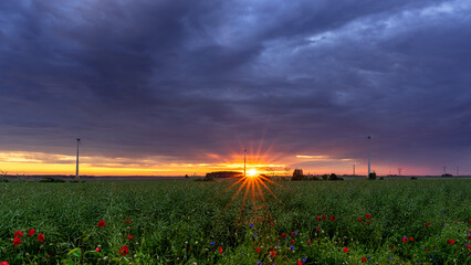 wschód słońca, zachód słońca, pole, sunrise, sunset, wieś, polska, niebo, pola, krajobraz, 