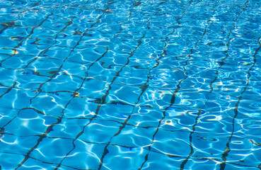 Fototapeta premium refreshing blue swimming pool water