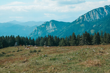 Fototapeta na wymiar Austria, Fladnitz an der Teichalm. Beautiful mountains and fields, summer in Austria. Tourism and hiking in Styria.