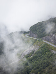 Fototapeta premium Foggy Day on the Blue Ridge Parkway in Western North Carolina