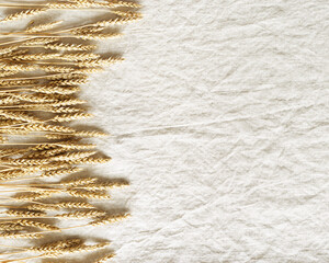 Close up ripe yellow ears of wheat on beige color textile background. Top view ears of cereal...