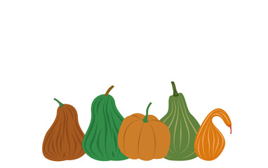 illustration set of colorful autumn pumpkins isolated on white background.  halloween holiday concept.  logo design element, print for clothes, dishes and paper, autumn background for printing 
