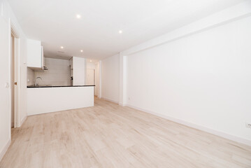empty room has light wood floor, plain white painted wall, island with black stone countertop and open kitchen
