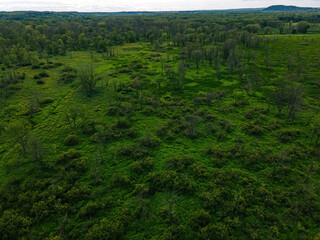 Natural Wilderness in Wisconsin away from mankind