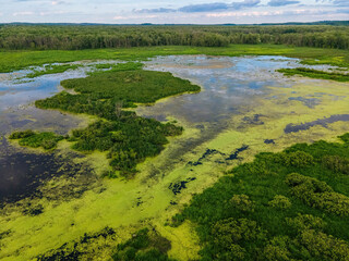 Natural Wilderness in Wisconsin away from mankind
