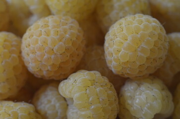 Yellow raspberries