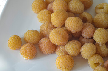 Yellow raspberries