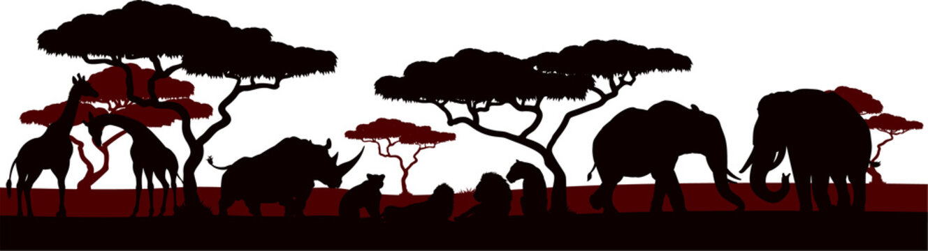 Animal Silhouette African Safari Landscape Scene