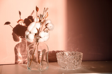 Abstract nature scene with composition of glass and dry branches of cotton. Neutral beige background for cosmetic, beauty product branding, identity and packaging.