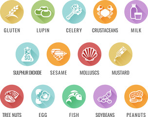 Food allergy icons including the 14 allergies outlined by the EU Food Information for Consumers Regulation EFSA European Food Safety Authority Annex II which encompass the big 8 FDA Major Allergens