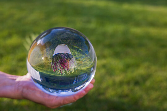 Beautiful view of upside-down reflection of pot with  colorful Calluna vulgaris plant in glass ball on man's hand. 