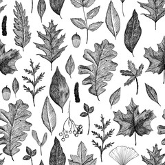 Seamless pattern of different leaves. Background of tree leaves. Hand-drawn in the style of engraving