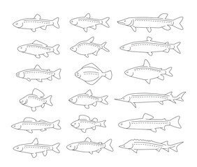 Fish set icons in linear style. Fishing concept symbols collection.Animals isolated vector illustration.