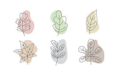 contours of leaves on the background of an abstract figure vector