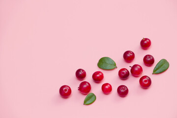 Lingonberries berries Scattered on pink background
