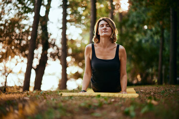 A slim yogi woman practicing yoga in the forest. She is in a cobra yoga posture.