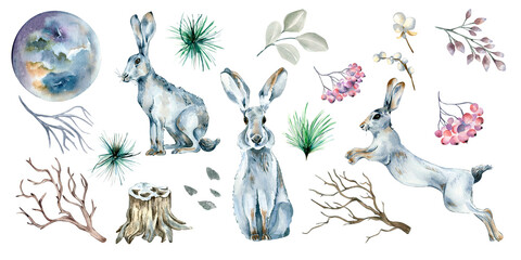 Set of hares, forest plants and moon watercolor illustration isolated on white background.