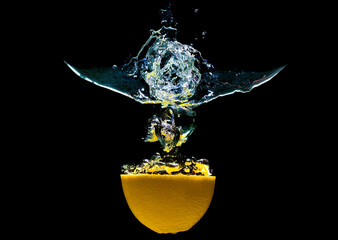 Citrus fruit with water splashes on black