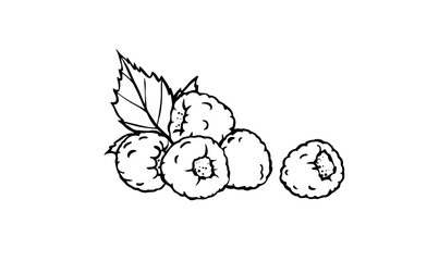 Raspberry - outline