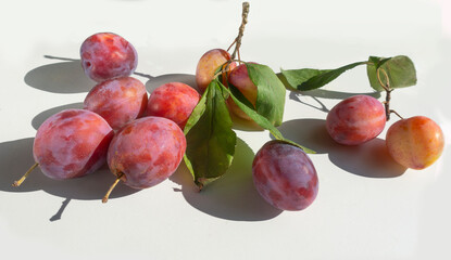 Ripe red plums lit by the sun on a white background