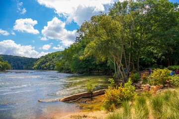 a gorgeous summer landscape along the Chattahoochee river with flowing river water surrounded by...