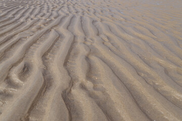 Wadden sea at low tide