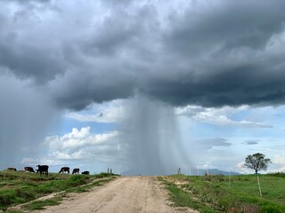 Tormenta a la vista