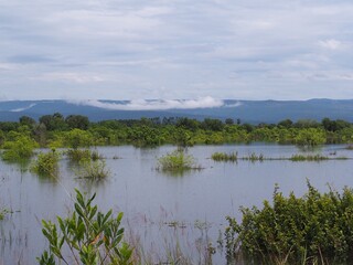 flood , consequences of downpour, Rainy summer