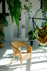 wicker rattan chair stands in white room decorated with plants