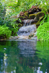 Waterfall in the park. Modern gardening. Beautiful backyard landscaping.