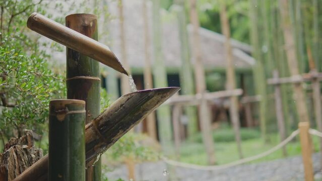 Bamboo water fountain or Shishi odoshi in Japanese garden is a Japanese device made to frighten away wildlife animals that might come to munch on plants of a well-cultivated garden.