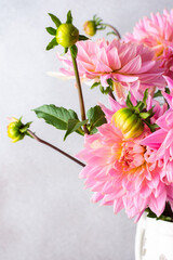 Pink dahlias, beautiful summer flowers in a vase