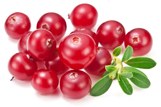 Cranberries and cranberry leaves isolated on white background.