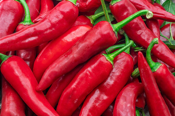 Lot of fresh red chilli peppers. Food background.