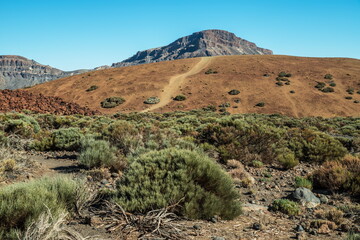 Unique landscape of Teide National Park and view of Teide Volcano peak. Tenerife Island.