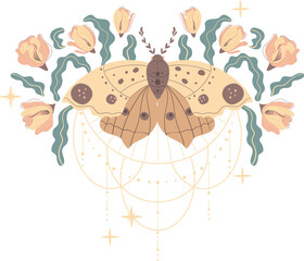 Magic moon night garden with insect moths flowers and plants