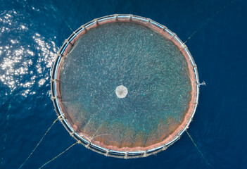 Aerial top view of a round fish cage at a fish farm in the mediterranean sea - obrazy, fototapety, plakaty