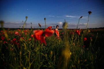 a beautiful girl in a beautiful red dress with a bouquet of red poppies, in a field, on a summer day