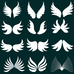 Color Wings Doodles Set vector 