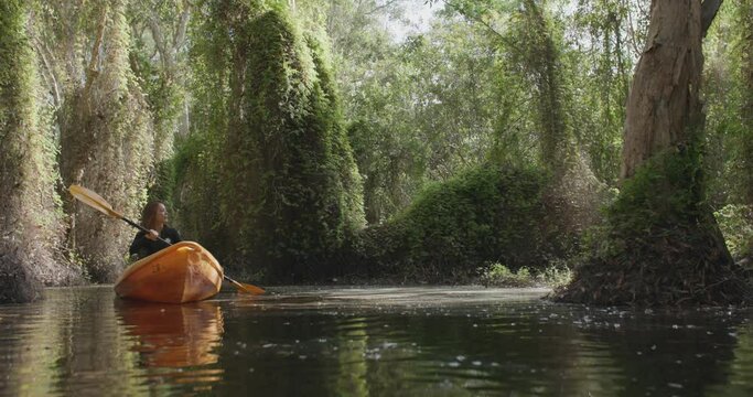 Beautiful asian woman paddling a kayak to explore the tropical forest. Young female traveler in yellow canoe boat rowing leisurely paddle along calm peat swamp lake. Nature tourism activity on holiday