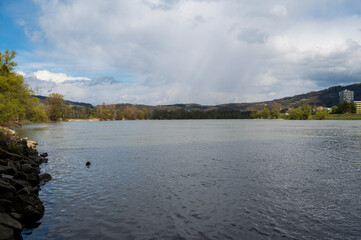 Danube river in the autumn forest.