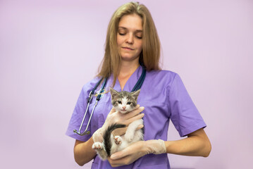 Female veterinarian with cute cat in clinic