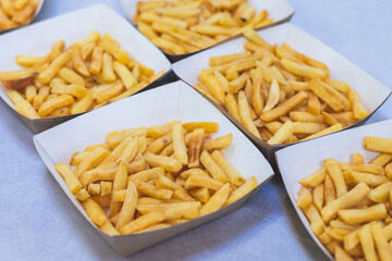 Cardboard food boxes for fast food with french fries and burgers, take out food carton ecological packaging to go, delivery containers with catering dinner meals