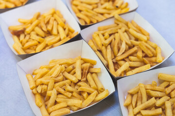 Cardboard food boxes for fast food with french fries and burgers, take out food carton ecological packaging to go, delivery containers with catering dinner meals