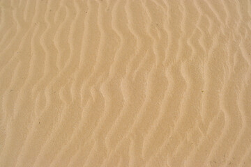 sand texture background