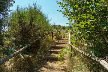 Paiasajes del volcan Croscat en La Garrotxa