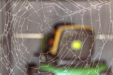 spider web in the morning
