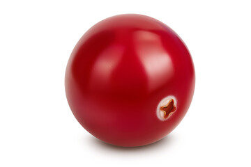 Cranberry isolated on white background with full depth of field